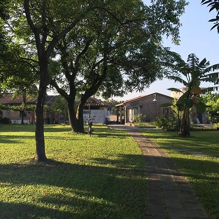 香蕉與黑膠 Yellow And Black Guest House Mei-nung Εξωτερικό φωτογραφία