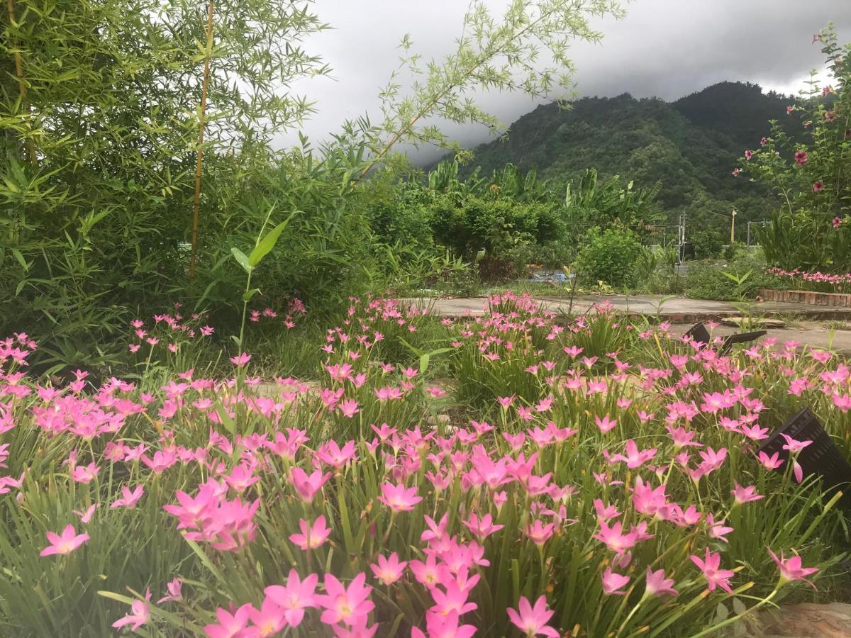 香蕉與黑膠 Yellow And Black Guest House Mei-nung Εξωτερικό φωτογραφία